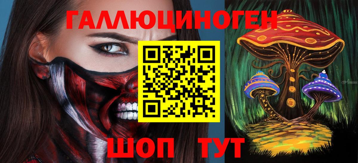 Краснознаменск  Псилоцибиновые грибы Cubensis  Галлюциногенные грибы прущие грибы  Вход с VPN 