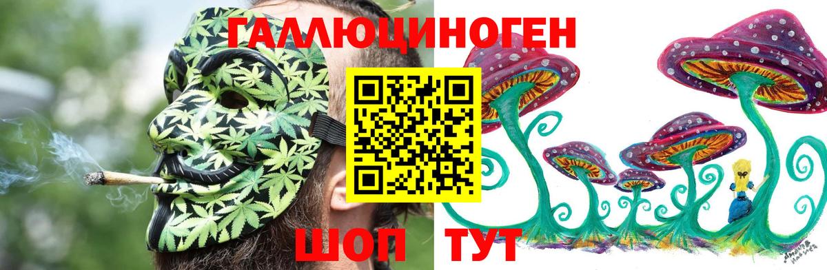 Псилоцибиновые грибы MAGIC MUSHROOMS Краснознаменск