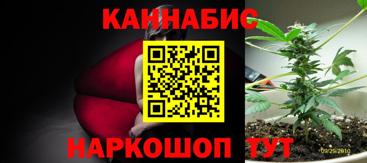 Марихуана Amnesia  Вход с VPN  Краснознаменск  Бошки марихуана THC 21% 